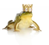 handsome prince